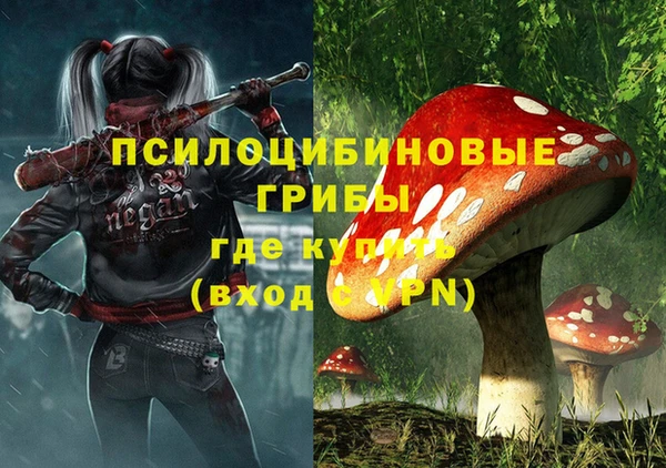 скорость Алексин