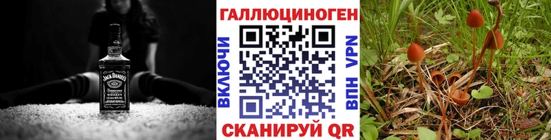 где продают   Большой Камень  Псилоцибиновые грибы Magic Shrooms 